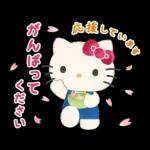 ハローキティ 大人のやさしい長文♪