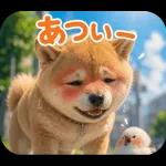 とびだす★夏 柴犬★わんこ♡犬