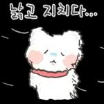 겨울에도 나랑 놀자곰!