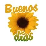 Buenos dias