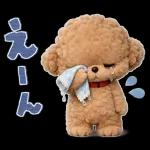 もふもふトイプードルの日常スタンプ