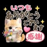 にゃんこ達の❤️気持ちたっぷり長文❤ねこ