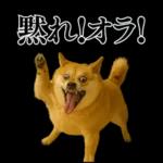 ガンギマリの柴犬＠エロ・日常会話