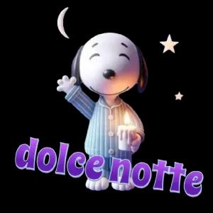 MAJCNE