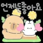 언제든좋아요