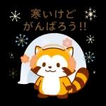 冬限定！たぬきのごあいさつ