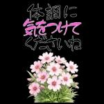 もふ屋画♪チップとデール