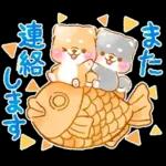 和菓子で敬語❤️いやしばいぬ❤️柴犬