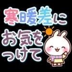 うさぎさん やさしい春の気づかい