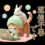 ずっと使える メロン帽が可愛い 猫とウサギ