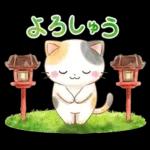 ほんわか水彩♪京都の三毛猫さん