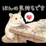 ゴールデンハムスター♡キンクマ