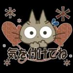 黒ねこの秋・冬便り