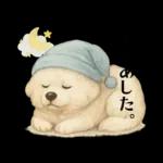 もふもふ【愛されサモエド】