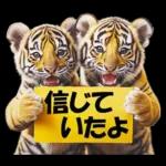 大阪神戸の野球好き虎ファン向け5とらほー