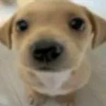 Este usuario está enfermo