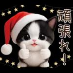 可愛いハチワレ猫 サンタ帽 冬 気づかい