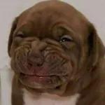 TF by TINKART STUDIO @inkart.drew