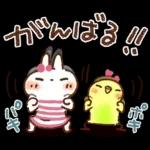 夏・天気【白うさぎさん＆インコちゃん】
