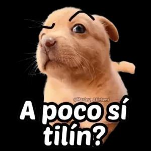 A poco sí tilín? - getsticker.com