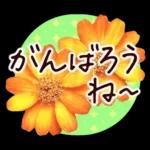 春✿明るい花で幸せ呼び込む✿やさしい声かけ