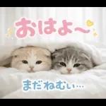 飛び出す♡やる気ないにゃんこ