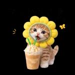 毎日使えるねこあいさつ