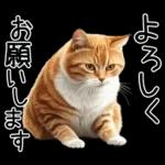 リアルな猫の敬語