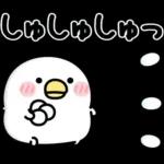 ちびトリ★冬の日常