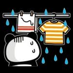 ぶなんなパンダ／お天気