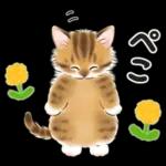 春の毎日☆猫たちのスタンプ（もふもふ）