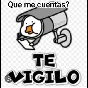 Que me cuentas? Persy TE VIGILO - getsticker.com