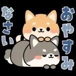 飛び出す！シバイヌの日常敬語スタンプ