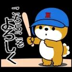 飛び出す！豆柴「野球と日常」
