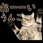 うんこ★リアルな猫