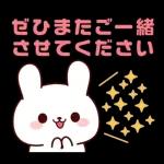 連絡白うさちゃん