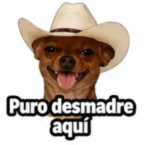 Puro desmadre aquí - getsticker.com