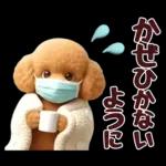 【秋冬】ずっと使える❤️日常会話 トイプー