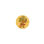 雪崩の恐れで県道3路線が閉鎖📡