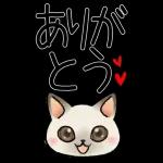 病院へ行くはぴきゃと！体調不良な毎日用