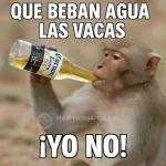 Feliz Año Nuevo Te deseo buena salud.