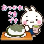 うさぎさん 春・梅雨・初夏