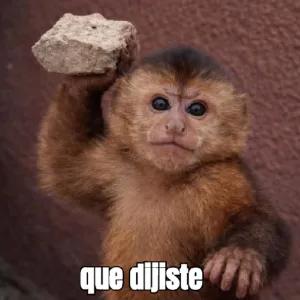 que dijiste - getsticker.com