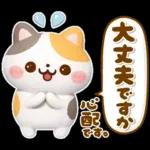 大人の気遣い♡立体ねこねこにゃんこ