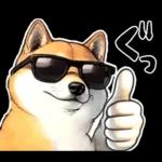 柴犬ワンダフル！！！！！