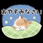 ゆるかわ☆ちび猫たちのスタンプ