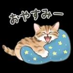 ふんわり可愛い☆猫たちのスタンプ