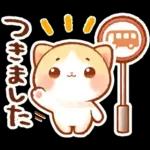 毎日♡猫ちゃんず【連絡・今何してる？】