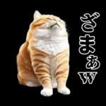 生成失敗猫【毒舌・煽り・煽る・シュール】