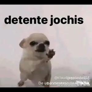 detente jochis De un comentario de Tik Tok - getsticker.com